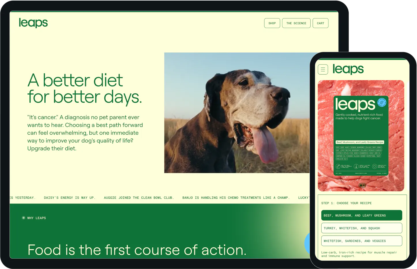 Screenshots of the Leaps website